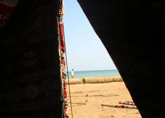 Nakhlat E'taal Camp - نخلة التل كامب * Sarm es-Sejk
