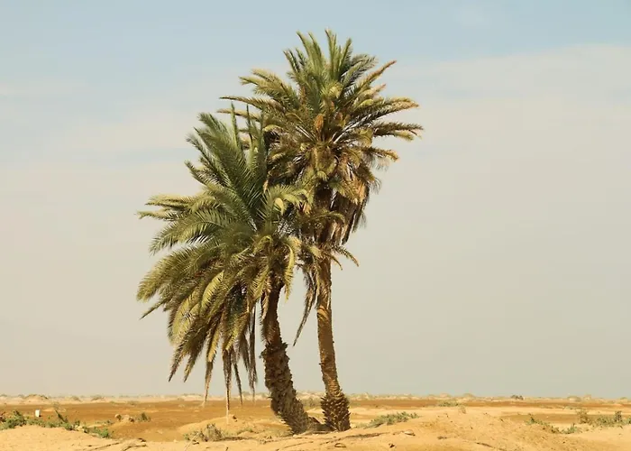 Nakhlat E'taal Camp - نخلة التل كامب Kemping