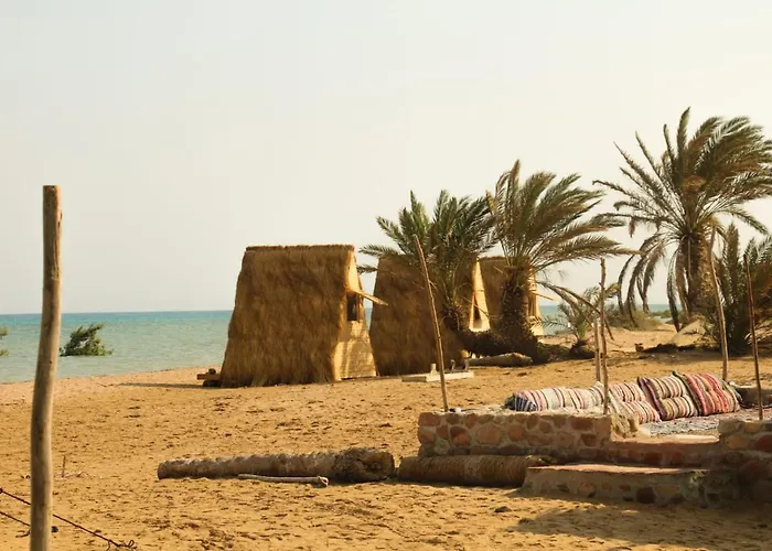 Nakhlat E'taal Camp - نخلة التل كامب