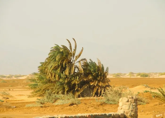 Kemping Nakhlat E'taal Camp - نخلة التل كامب