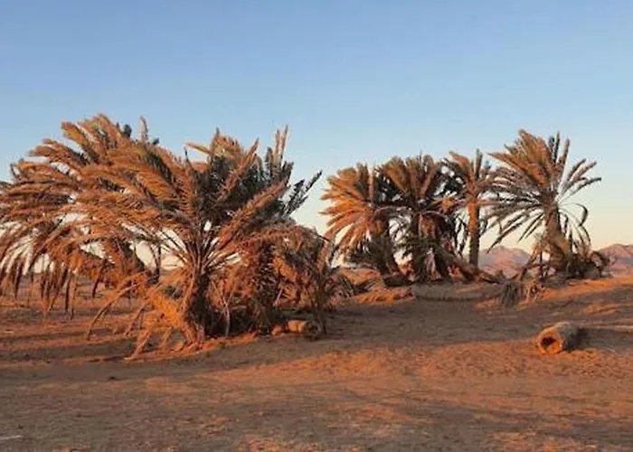 Kemping Nakhlat E'taal Camp - نخلة التل كامب *